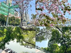 -东山湖公园