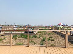 -东疆建设开发纪念公园