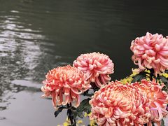 -杭州植物园