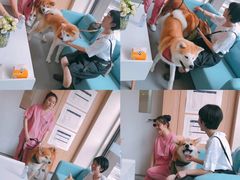 -爱妮康宠物医院·干细胞免疫细胞·肿瘤·心脏(张江店)