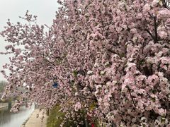-海棠花溪(元大都城垣遗址公园)