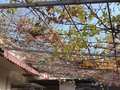 -伊隆斋(什刹海店)