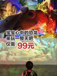 -恐龙探索乐园(磁器口店)