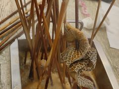 -老徐烧烤涮肚(交道口店)