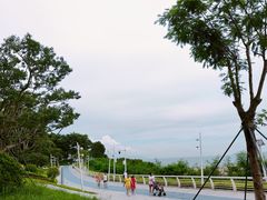 -大梅沙海滨公园