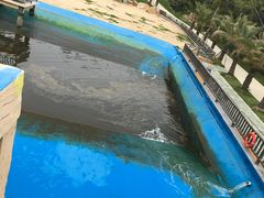 -广东惠东海龟国家级自然保护区