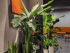 -UMe·玖觅(曲江店)