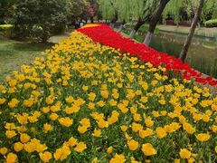 -上海鲜花港