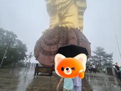 -大金鹰园