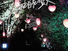-天目湖山水园