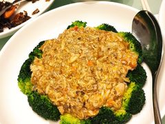 清炒蟹粉-新吉士·上海菜(浦东LCM置汇旭辉店)