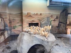 -上海野生动物园