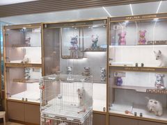 -翊宠yipet猫狗购宠庄园犬舍•猫舍