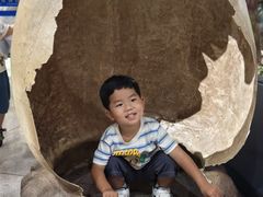 -湖南省地质博物馆