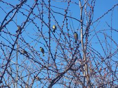 -西部长青自然儿童乐园