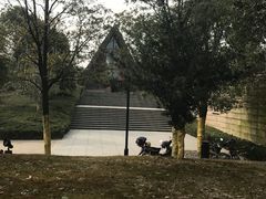 -美丽洲堂