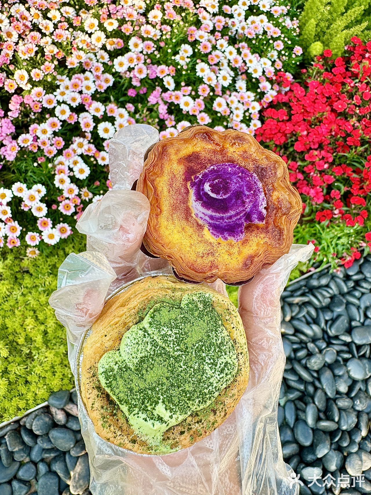 这家蛋挞！！！我过两天要把它带回老家