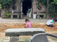 -樂桃源奉贤黄桃种植采摘基地