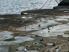 -星海广场