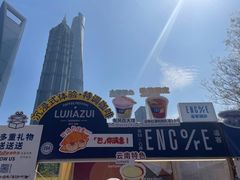 -陆家嘴中心绿地