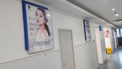 -温州伯思立医院