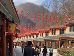 -栾川竹海野生动物园