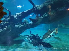 -华夏文旅海洋公园