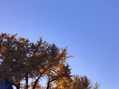 -红螺寺