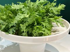 -烹然四季椰子鸡火锅(姚家园万象汇店)