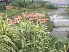 -无锡动物园·太湖欢乐园