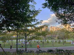 -飞凤山奥体公园