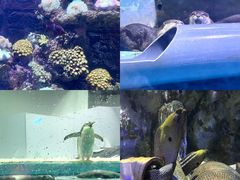 -正佳极地海洋世界