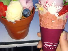 -哈根达斯(武汉天地店)