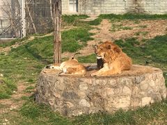 -西安秦岭野生动物园