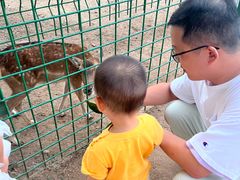 -秦岭欢乐世界