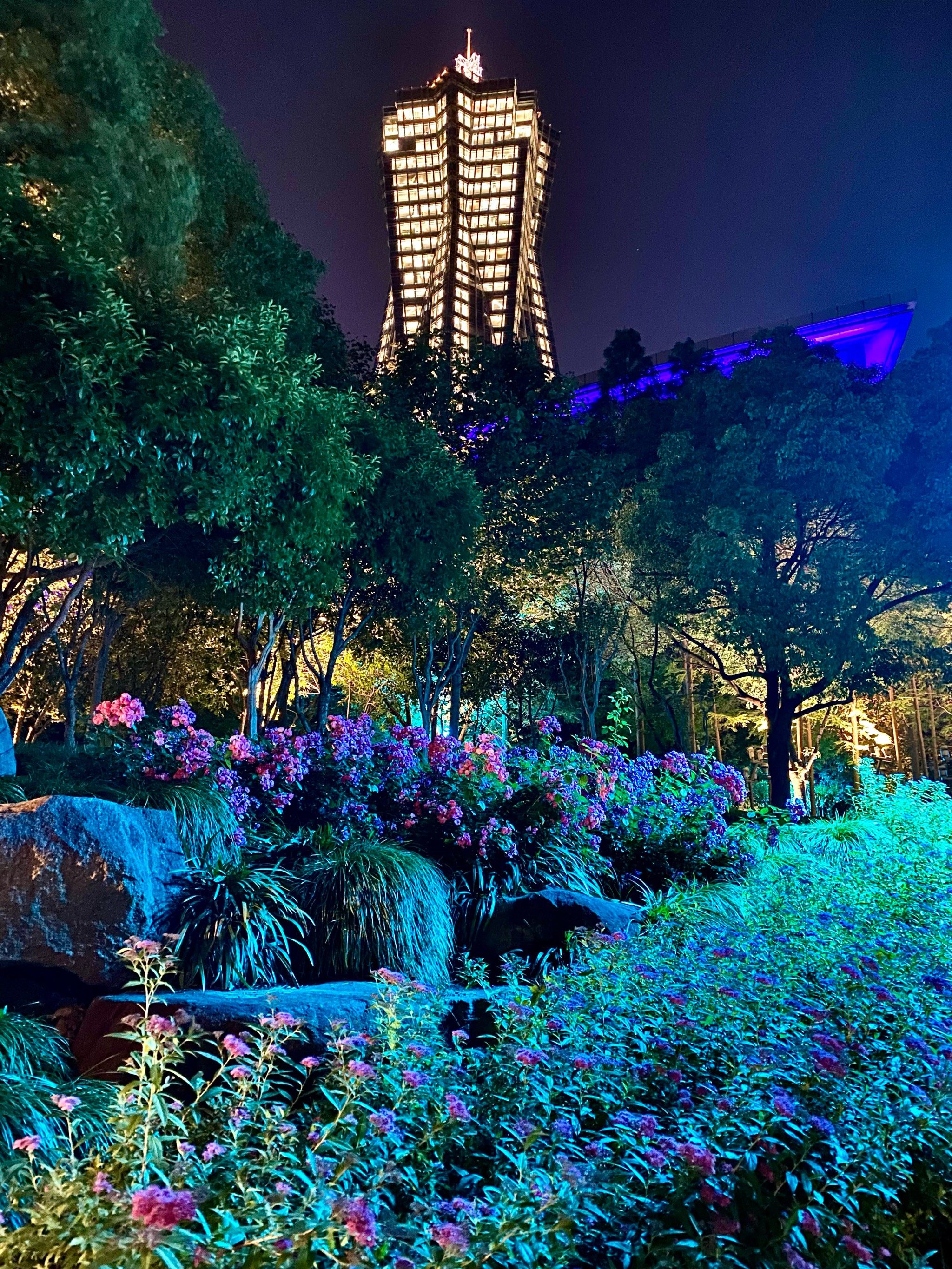 来杭州一定要看的夜景91京杭大运河的蓝绿海洋7815