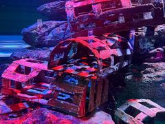 -暹罗海洋世界