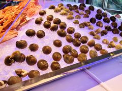 -马哥孛罗酒店·SAVVY全日餐厅