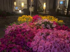 -瓦库茶馆17号(海汇港店)