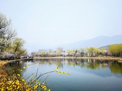 -国家植物园