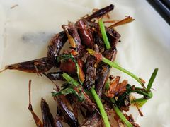 -凤凰岭蒙古包风味餐厅