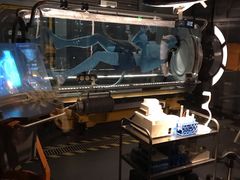 -奥兰多迪士尼动物王国乐园