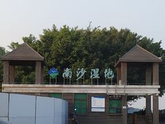 -大湾区中央湿地公园