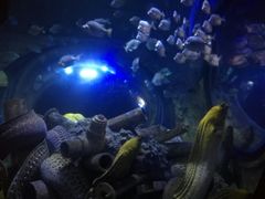 -成都浩海立方海洋公园