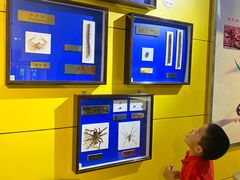 -上海昆虫博物馆