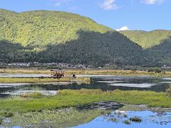 -腾冲北海湿地
