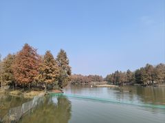 -宁波杭州湾国家湿地公园