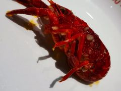 -周姑娘不等味·牛羊肉火锅·螃蟹罗氏虾·烤鱼烤串(高邮店)