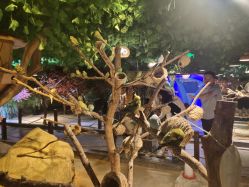 -酷嗒动物文化乐园(cutezoo西溪乐天城店)