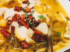 麻辣酸菜鱼-胡桃里乐队酒馆(农科路店)